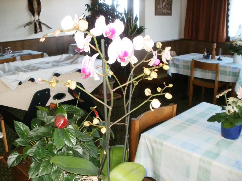 Hotel Pez Ault Disentis Zewnętrze zdjęcie